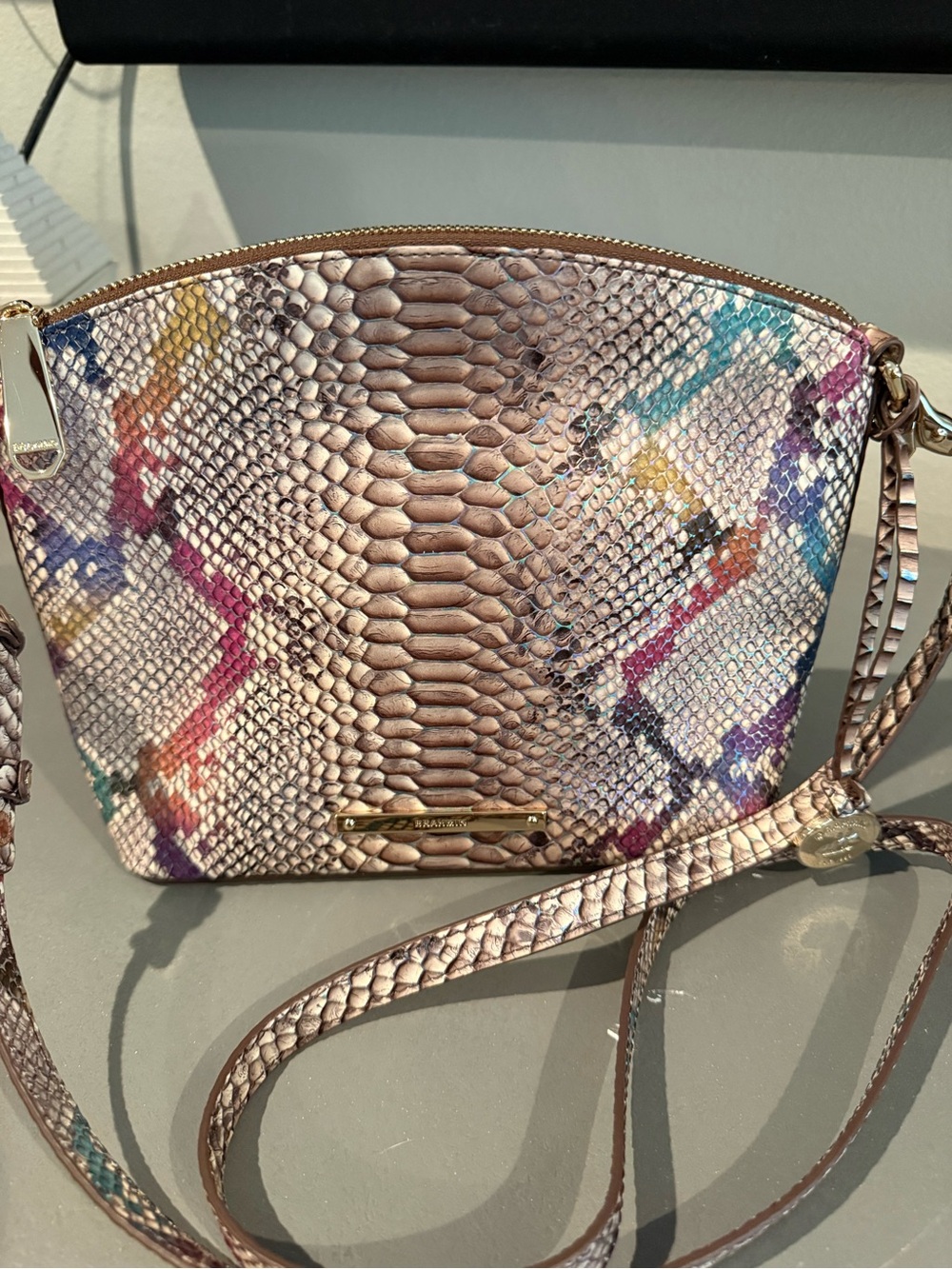 Brahmin Multicolor Python-Print Bag